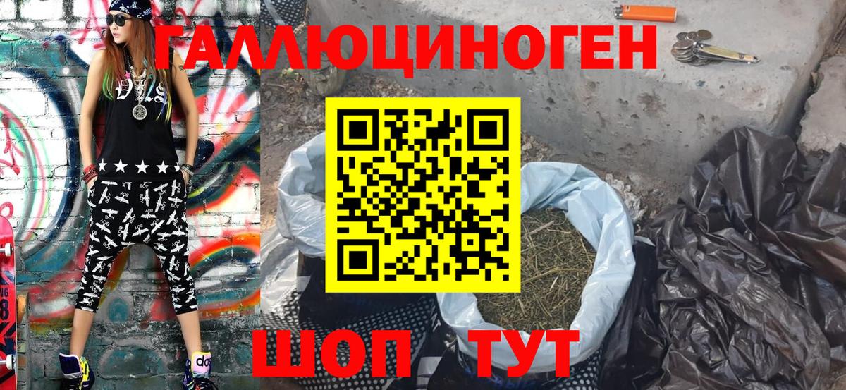 Галлюциногенные грибы Psilocybe Ставрополь