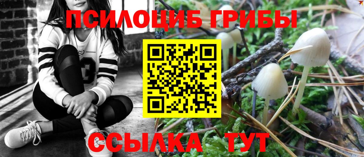 Галлюциногенные грибы Psilocybine cubensis  Вход с VPN  Псилоцибиновые грибы Psilocybe  Ставрополь 